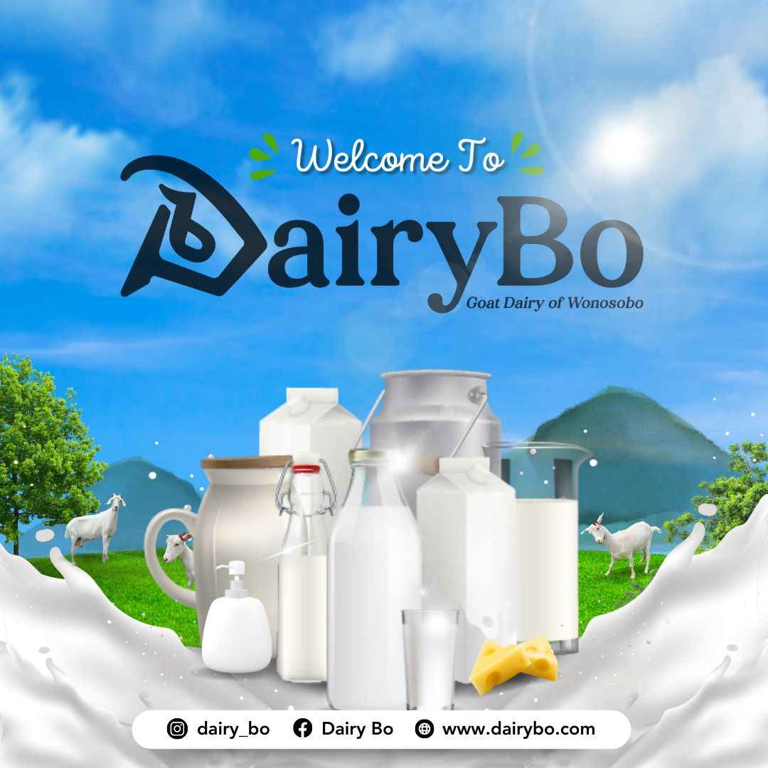 DairyBo