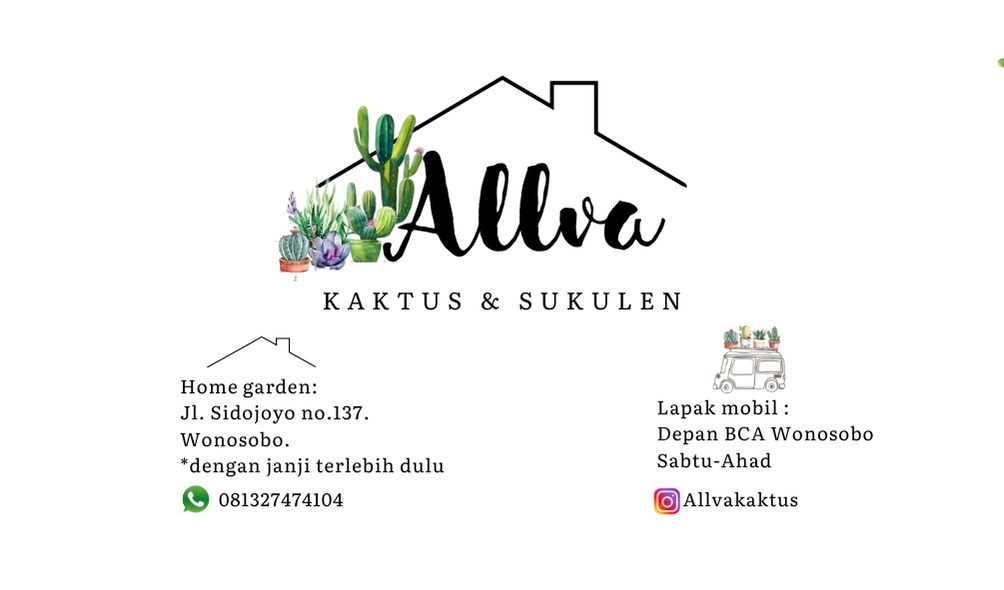 Allva Kaktus dan Sukulen