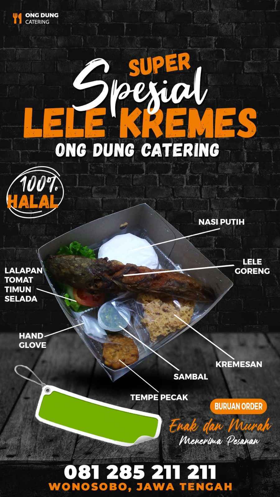 Lele Terbang Kremes 